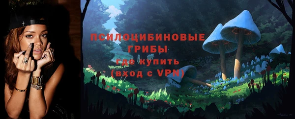 хмурый Алексин