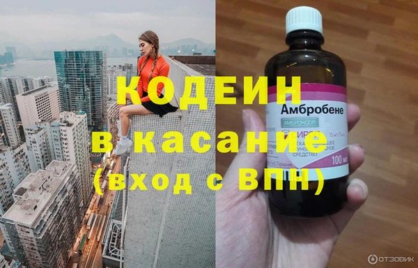 хмурый Алексин