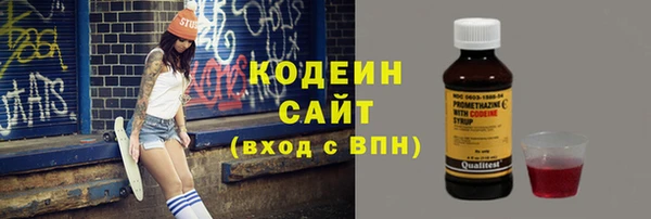 прущий лед Алзамай