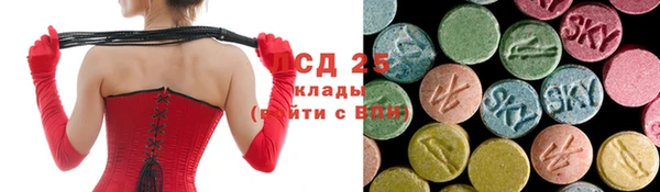 прущий лед Алзамай