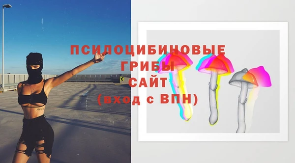 PSILOCYBIN Алексеевка