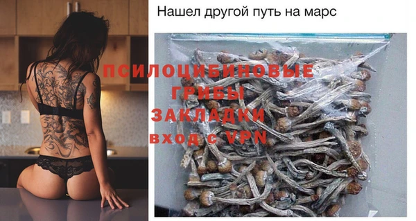 хмурый Алексин