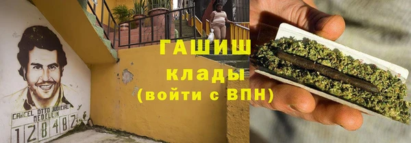 прущий лед Алзамай