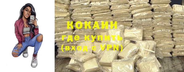 прущий лед Алзамай