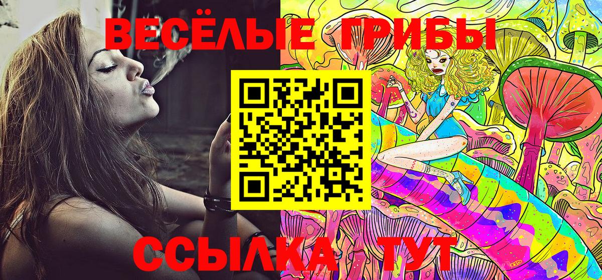Галлюциногенные грибы мухоморы Старая Русса