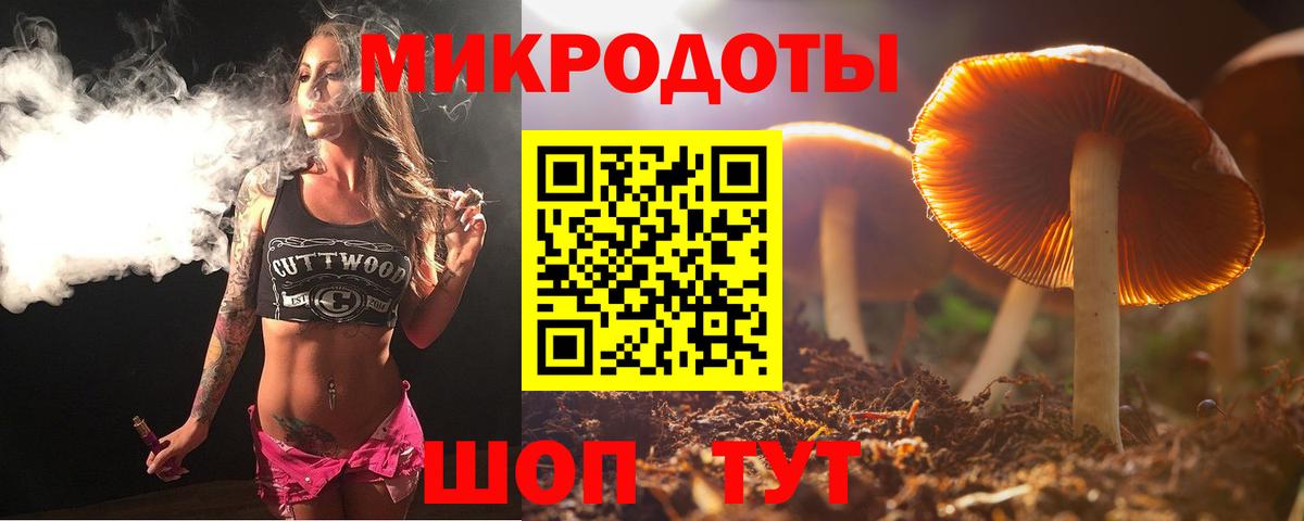 Старая Русса  Псилоцибиновые грибы ЛСД  Вход с VPN 