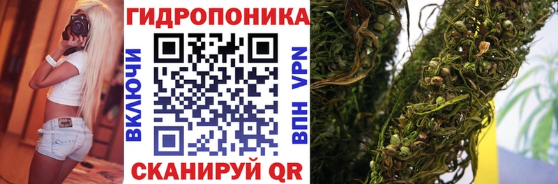 Конопля Amnesia  Старая Русса 
